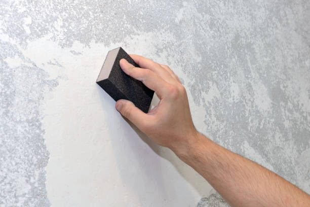 Best Mold Removal for HVAC Installations  in Curtice, OH