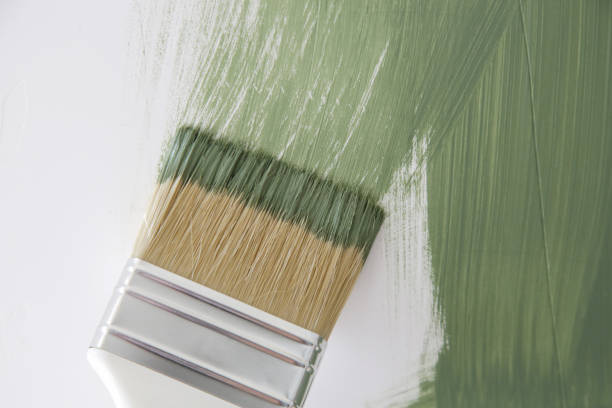Reliable Curtice, OH Mold Removal Solutions