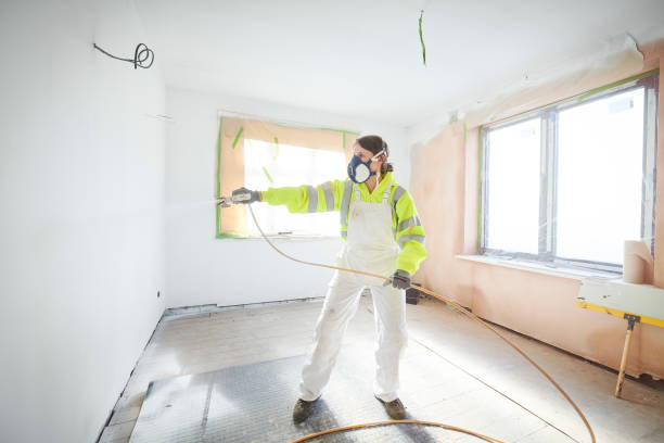 Best Mold Damage Restoration  in Curtice, OH