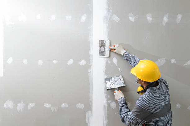 Best Industrial Mold Remediation  in Curtice, OH