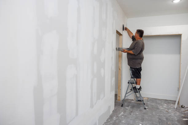 Mold Remediation for Vacation Homes in Curtice, OH