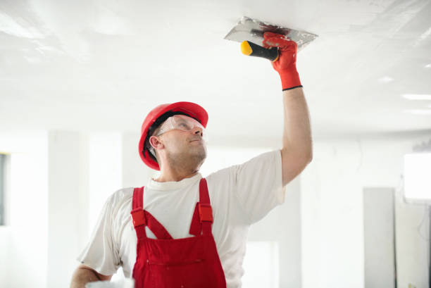 Mold Documentation for Insurance Claims in Curtice, OH