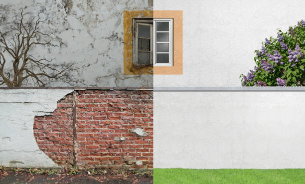Best Mold Documentation for Insurance Claims  in Curtice, OH